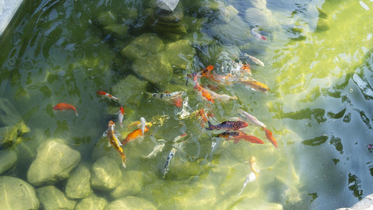 Pisces Garden B&B Checheng Eksteriør bilde